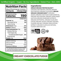Organic Vegan Protein Powder